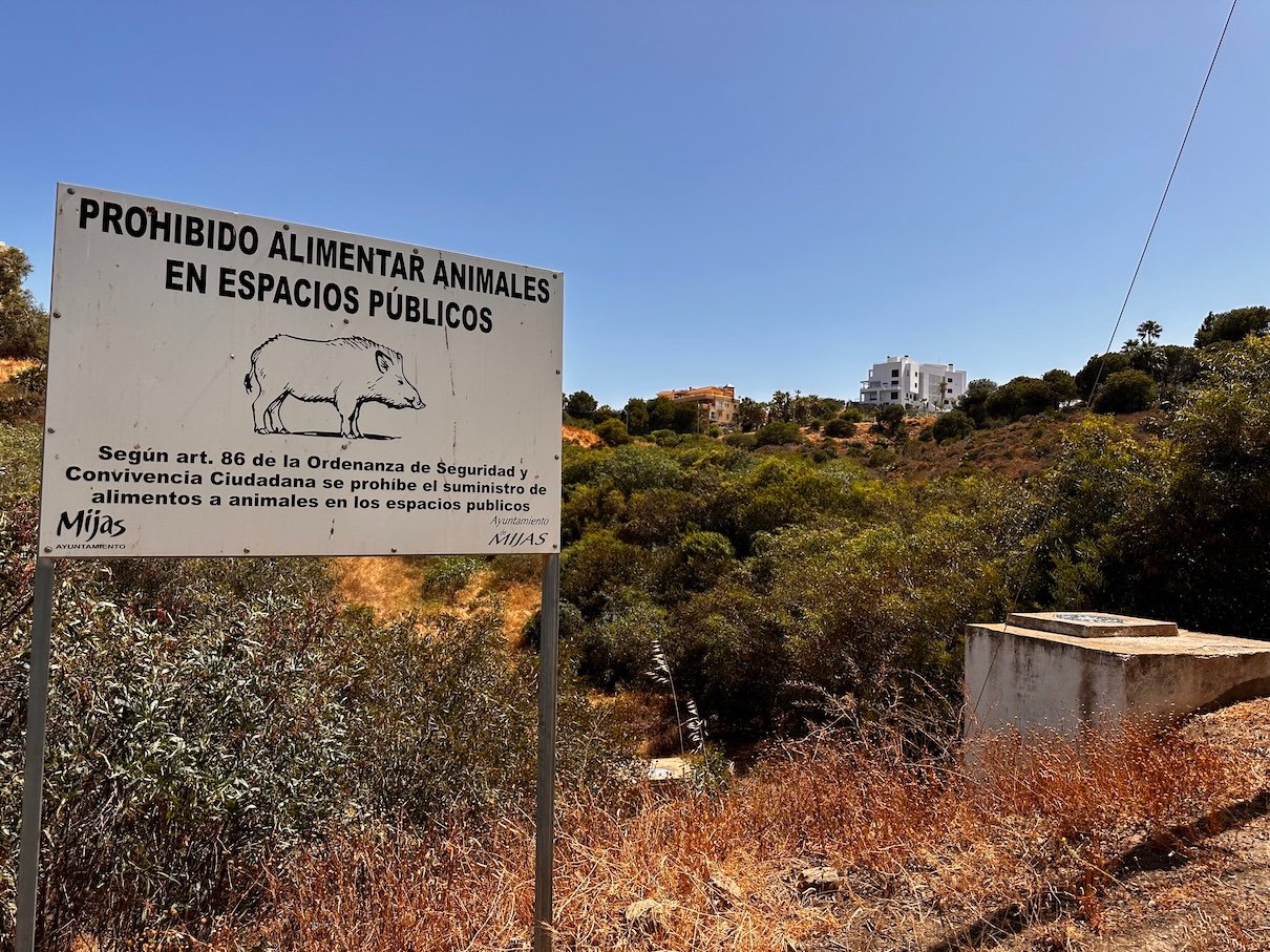New EU Entry/Exit System (EES): How It Changes Travel to Spain