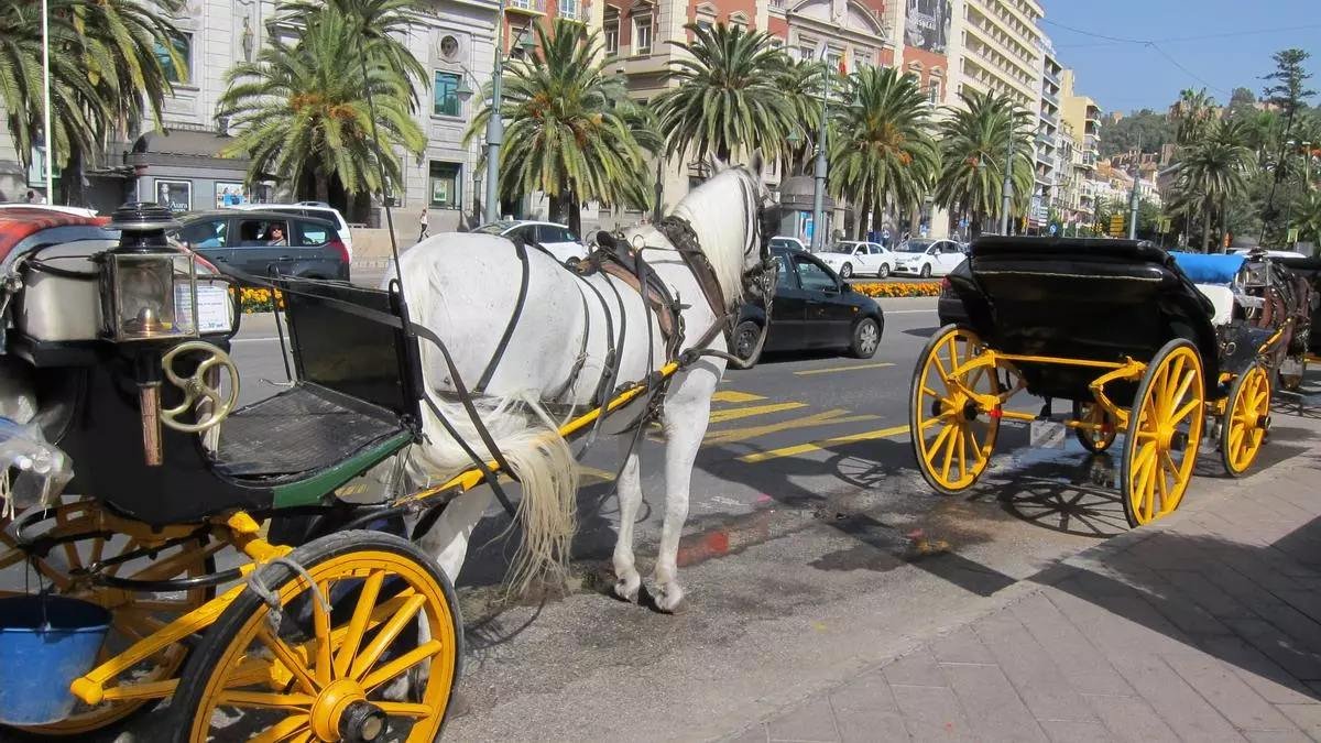 The End of an Era: Malaga’s Decision to Ban Horse-Drawn Carriages by 2025